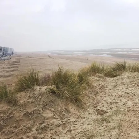 Holiday home In Near The Beach, Cleaning Included Koksijde