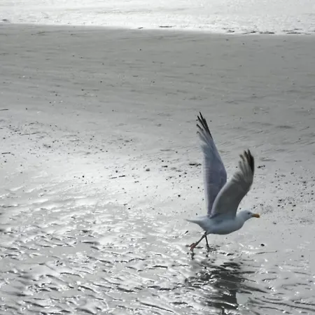 In Near The Beach, Cleaning Included *