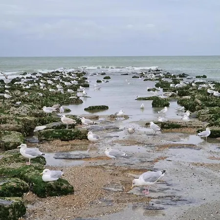In Near The Beach, Cleaning Included